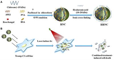 Development of Photo-Activated ROS-Responsive Nanoplatform as a Dual-Functional Drug Carrier in Combinational Chemo-Photodynamic Therapy